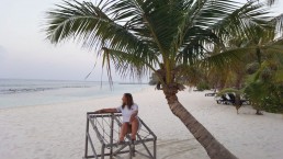 Malediven Sandstrand mit Palme